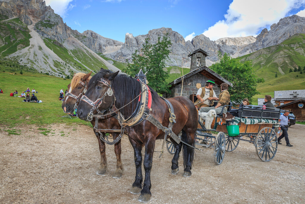Content Dam Org 3 Images Full Rights Outdoor Defrancesco Michele Gite In Slitta Aptvaldifassa 038 Patricia Ramirez 595