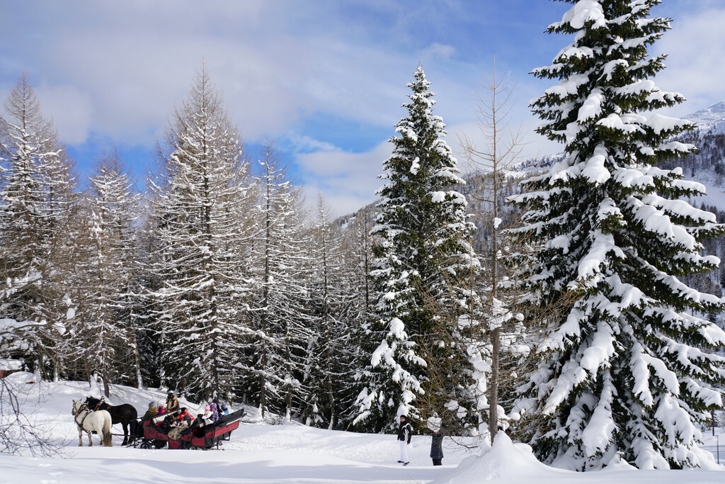 Content Dam Org 3 Images Full Rights Outdoor Defrancesco Michele Gite In Slitta Aptvaldifassa 005 Marisa Montibeller 990